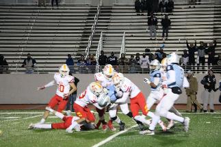 November 8 2019 IMG_9389780